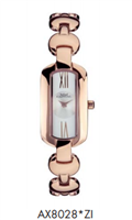 Orologio Capital Donna New York in Acciaio AX8028-ZI - AX8028-ZI